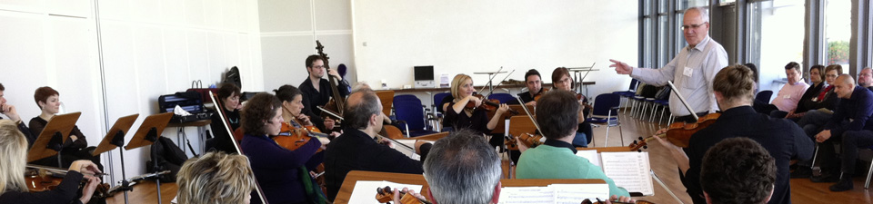 Das Orchester – Südwestdeutsches Kammerorchester Pforzheim
